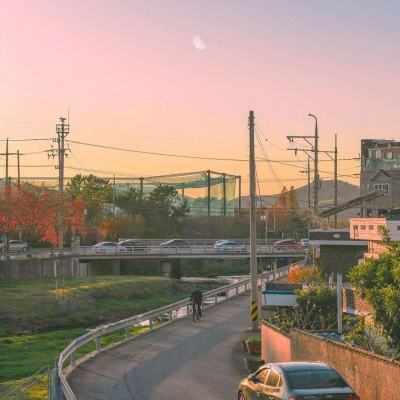 我在江湖452wan版下载