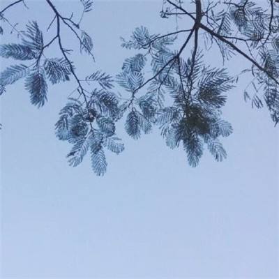 雷霆霸业之单职业复古传奇游戏下载